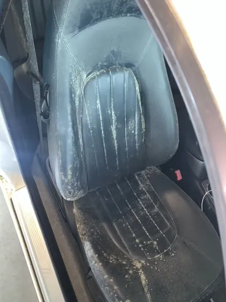 before-image